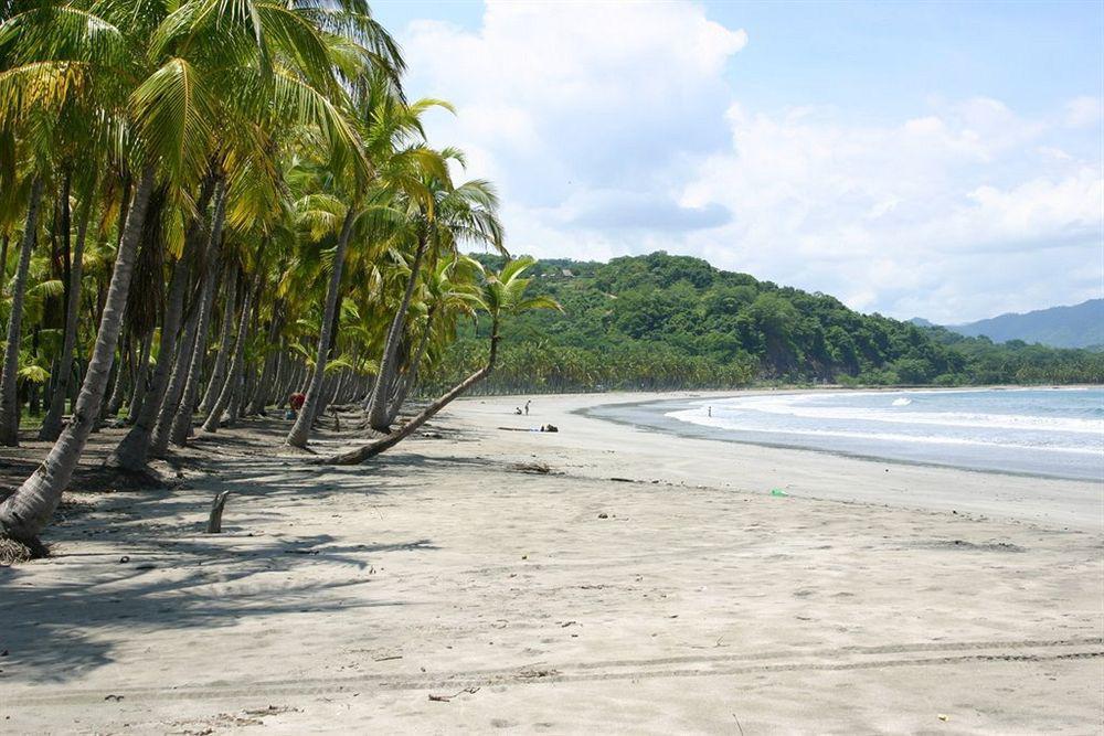Hotel Villa Teca Manuel Antonio Exterior photo